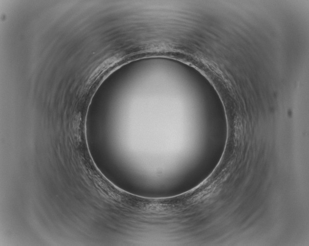 X0000086881265200704231054