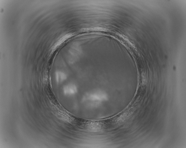 X0000086881266200704231054