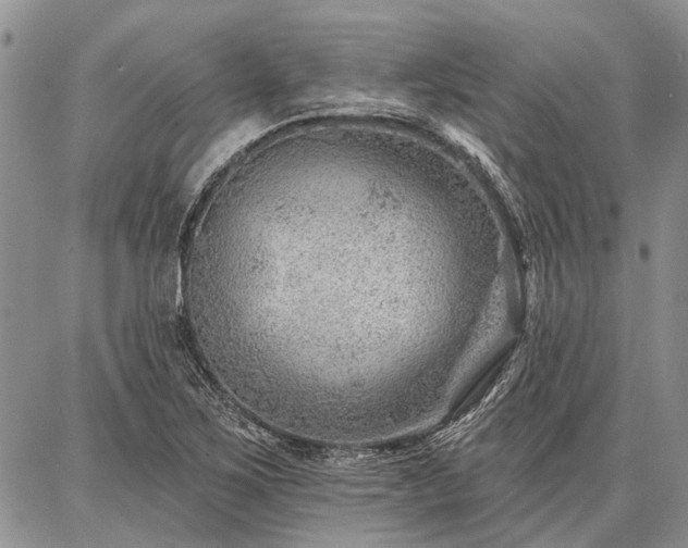 X0000086881267200704231054