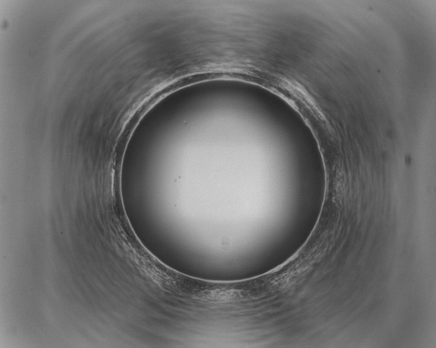 X0000086881268200704231054