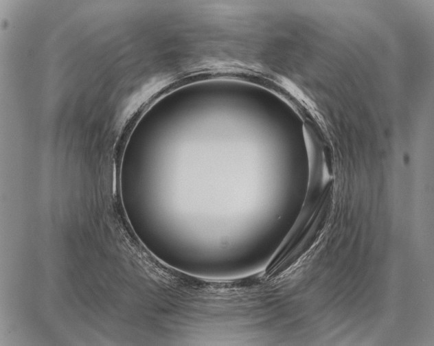 X0000086881269200704231054