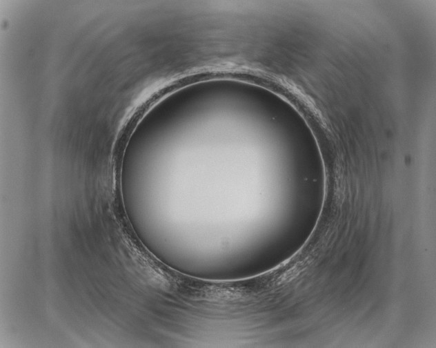 X0000086881270200704231054