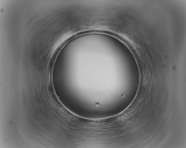 X0000086881271200704231054