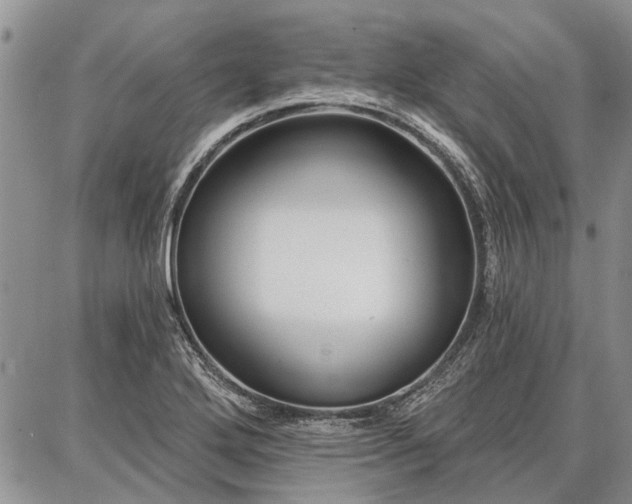 X0000086881272200704231054