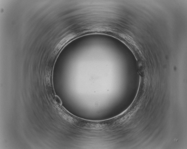 X0000086881273200704231054