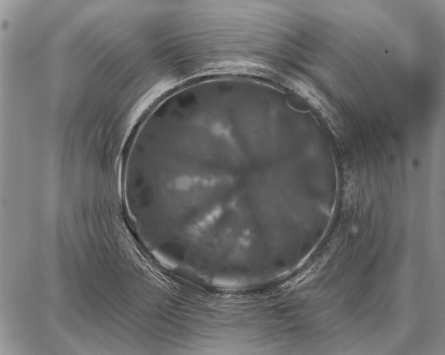 X0000086881275200704231054