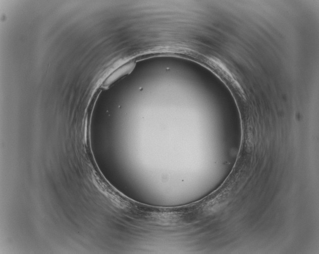 X0000086881276200704231054