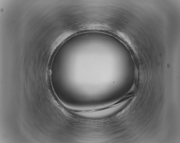 X0000086881277200704231054