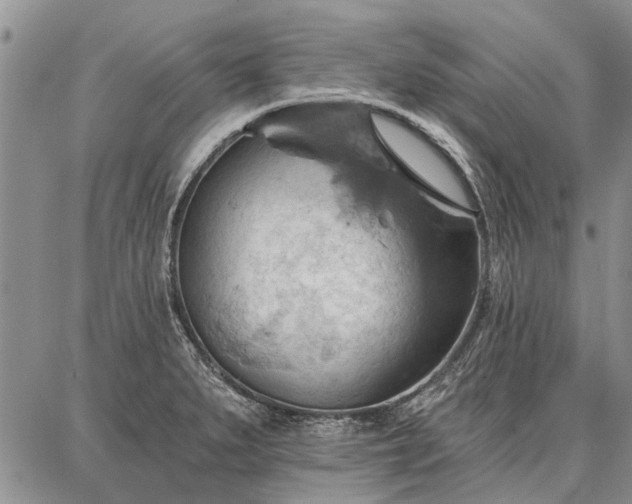 X0000086881279200704231054