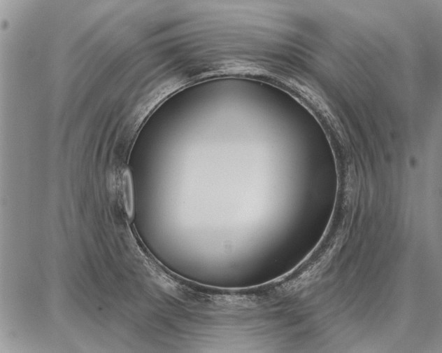 X0000086881281200704231054