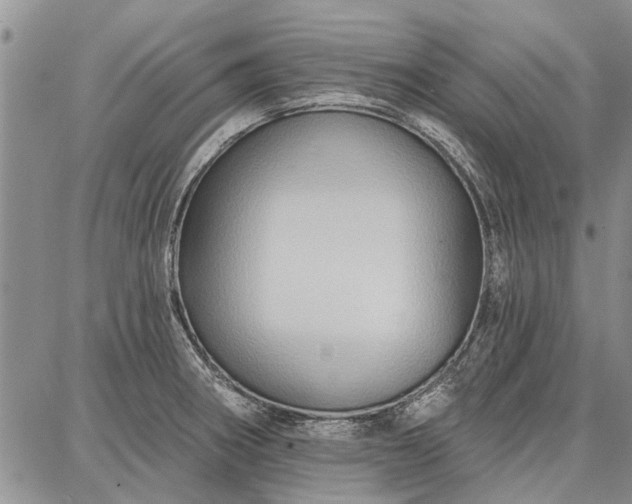 X0000086881282200704231054