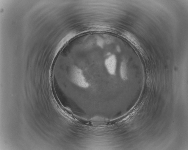 X0000086881283200704231054