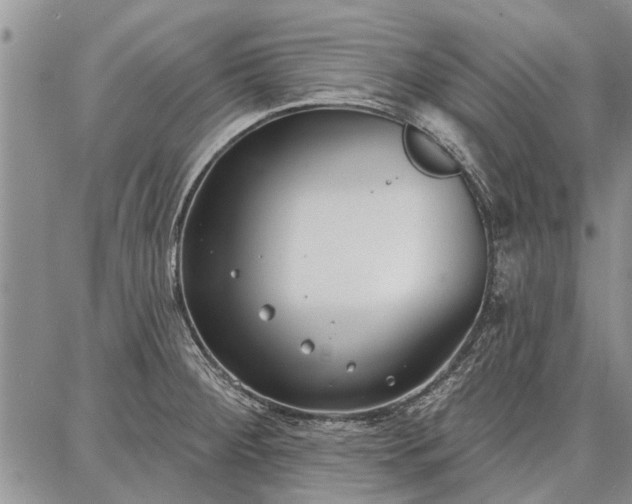 X0000086881284200704231053