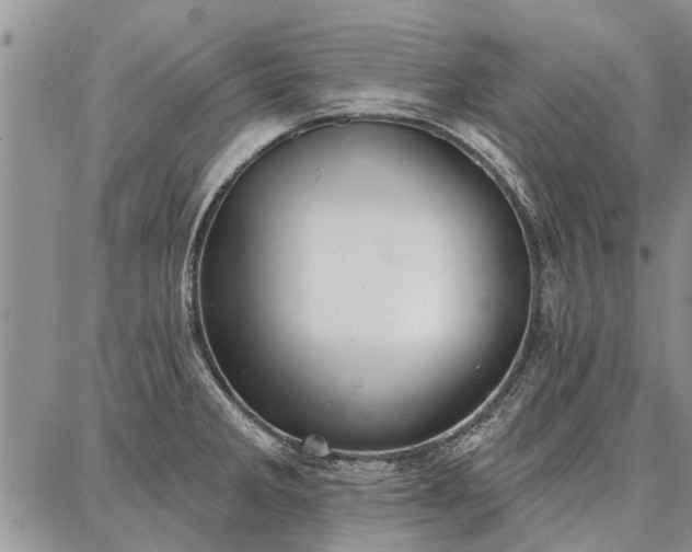 X0000086881285200704231053