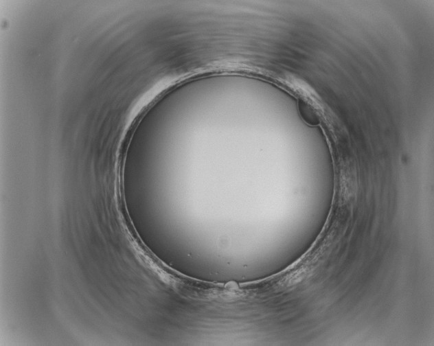 X0000086881286200704231053