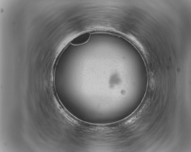 X0000086881287200704231053