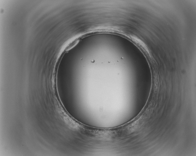 X0000086881288200704231053