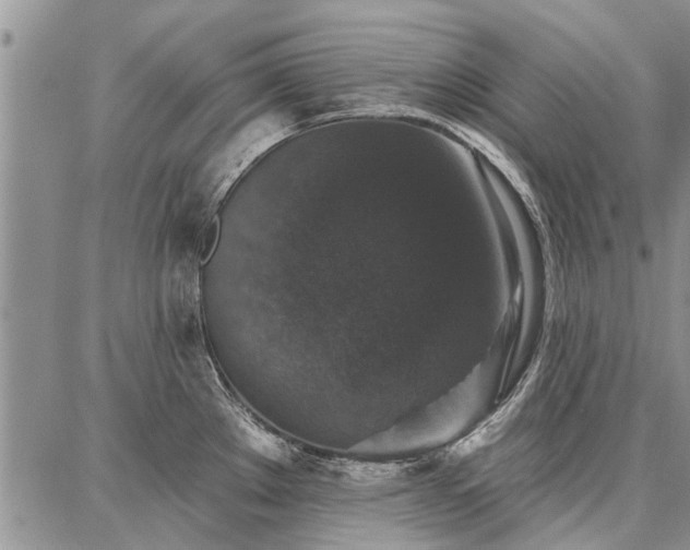 X0000086881289200704231053