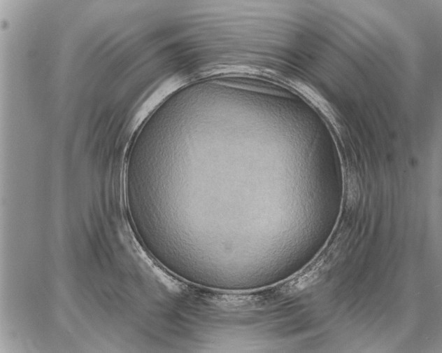 X0000086881290200704231053