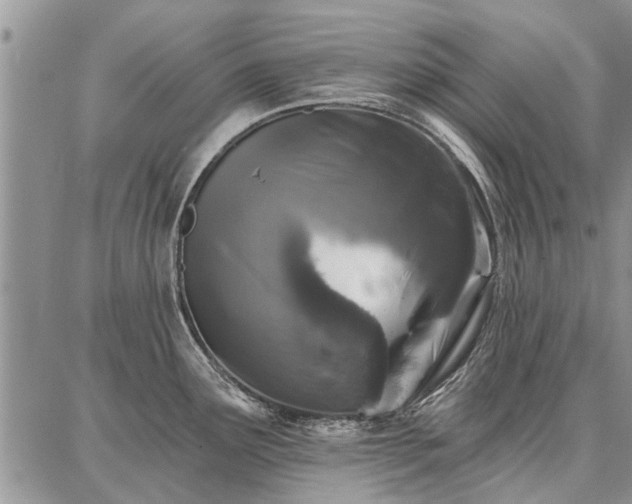 X0000086881291200704231053