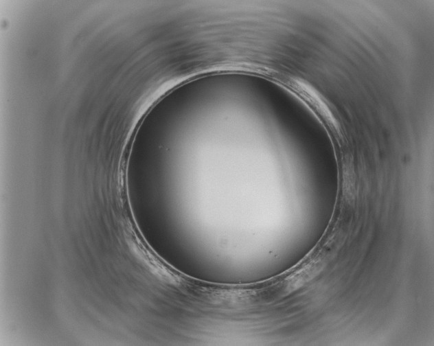 X0000086881292200704231053