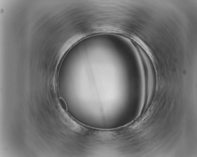 X0000086881293200704231053