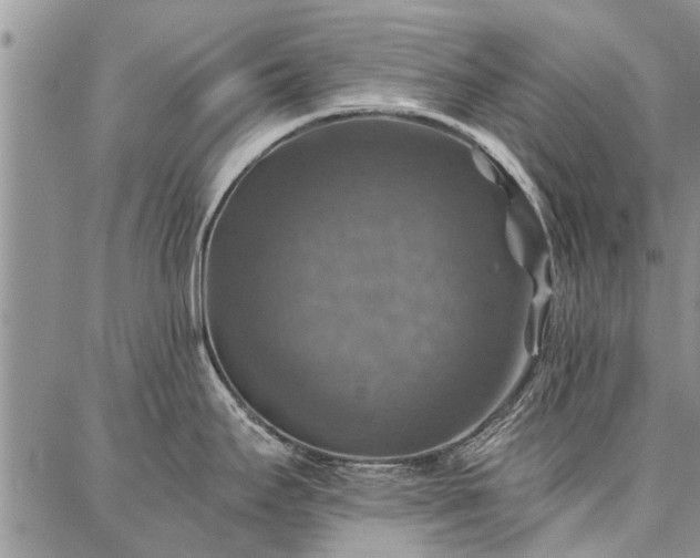 X0000086881295200704231053