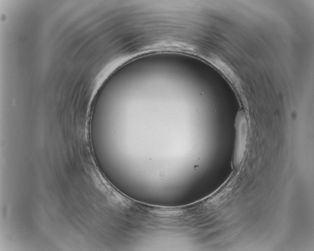 X0000086881296200704231053