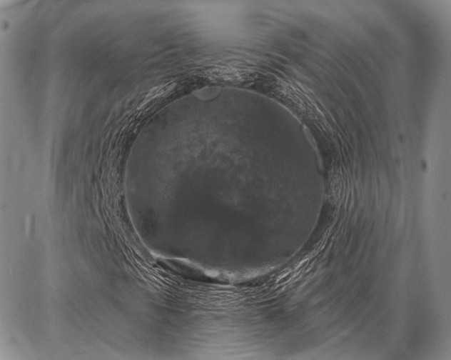 X0000086881297200704231053