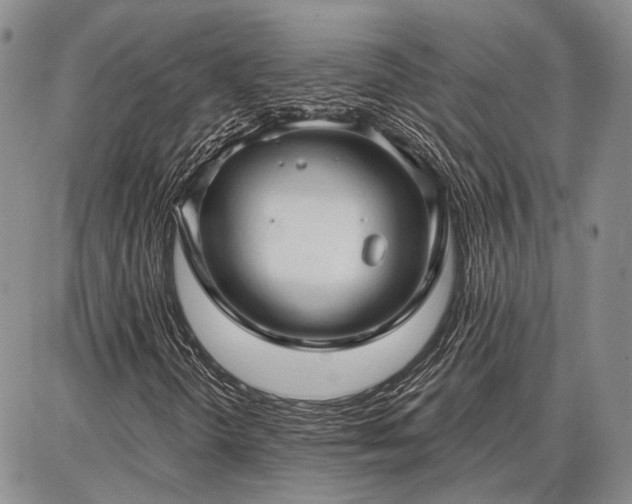 X0000086881298200704231053