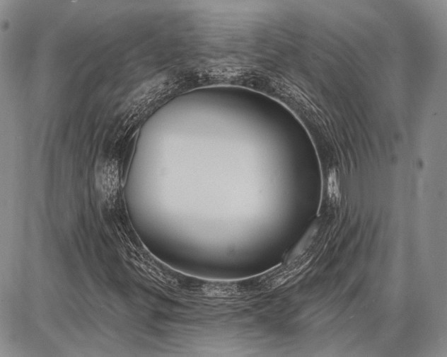 X0000086881299200704231053