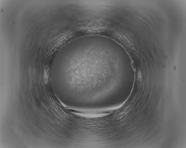 X0000086881300200704231053