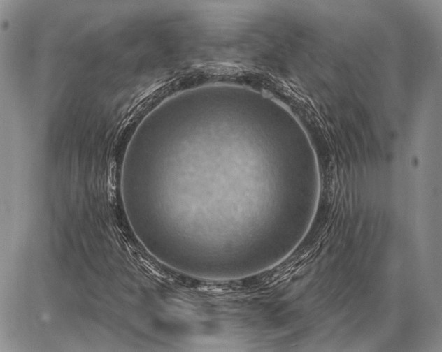 X0000086881301200704231053