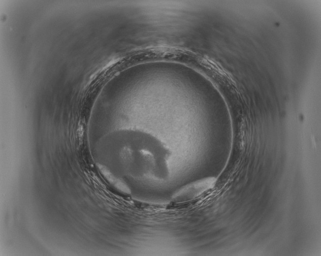 X0000086881302200704231053