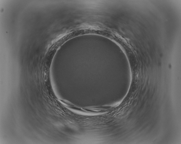 X0000086881303200704231053