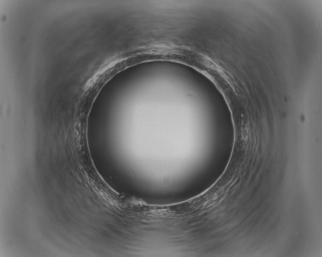 X0000086881304200704231053