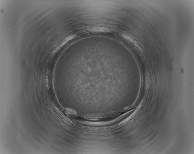 X0000086881305200704231053