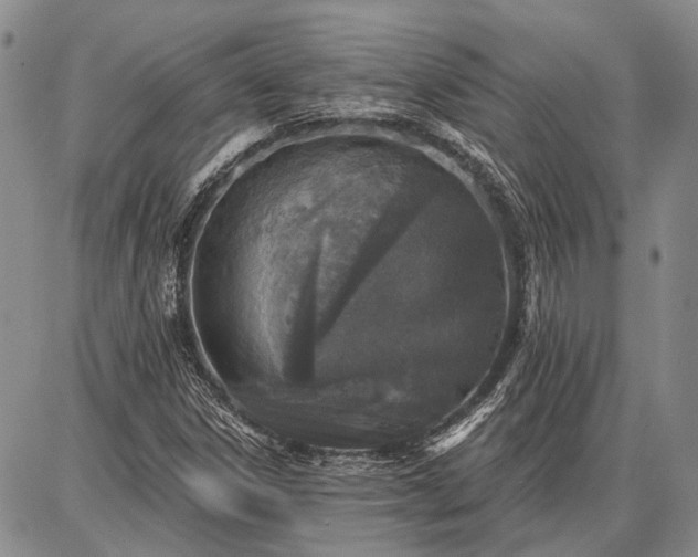 X0000086881306200704231053