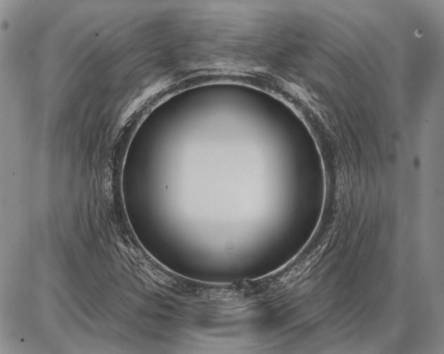 X0000086881307200704231053