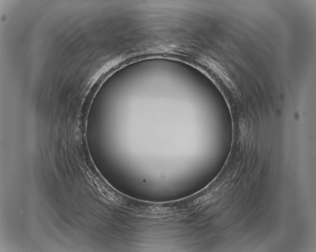 X0000086881308200704231053