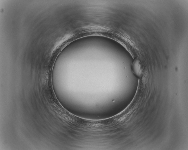 X0000086881309200704231053