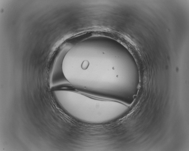 X0000086881310200704231053