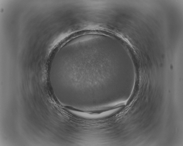 X0000086881311200704231053