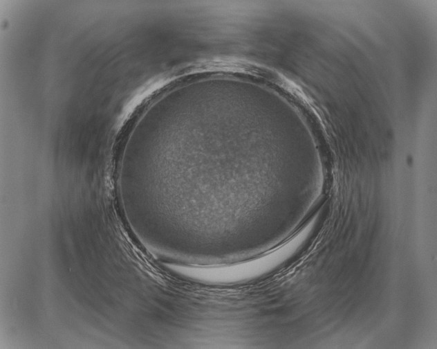 X0000086881312200704231053