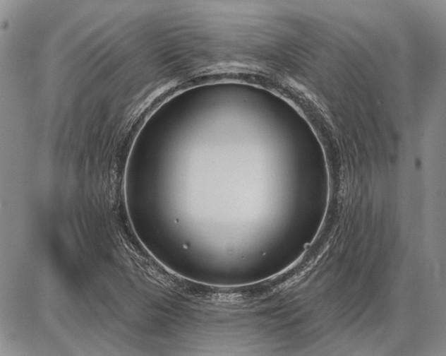 X0000086881313200704231053