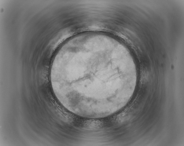 X0000086881314200704231053