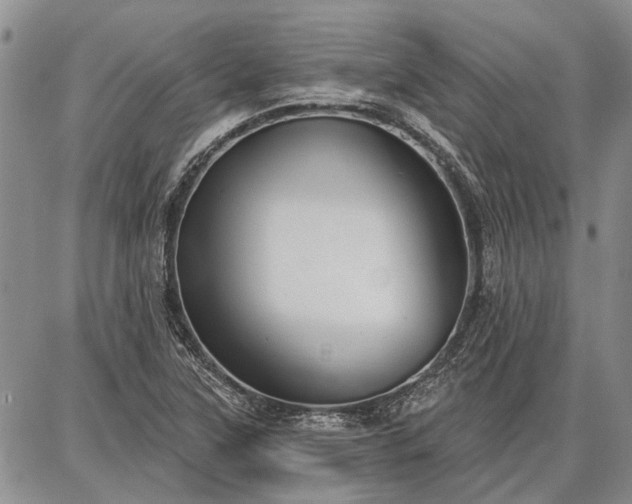 X0000086881315200704231053