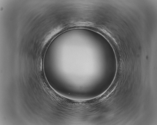 X0000086881317200704231053