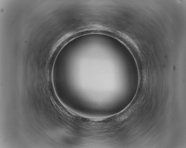 X0000086881318200704231053