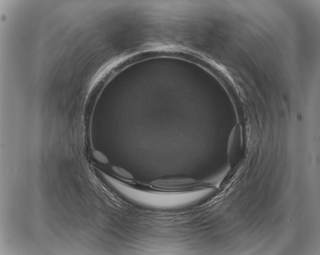 X0000086881319200704231053